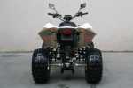 EGL ATV LYDA 300 RX