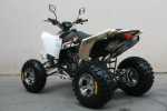EGL ATV LYDA 300 RX