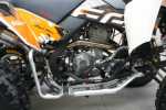 EGL ATV LYDA 300 RX